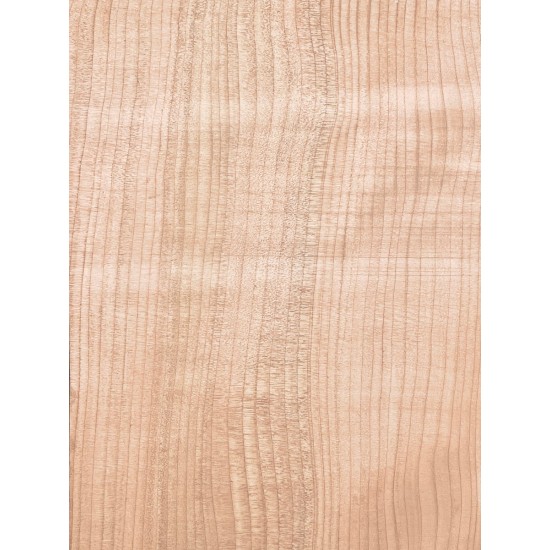 Lebanon Cedar