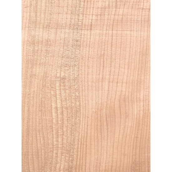 Lebanon Cedar