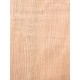 Lebanon Cedar