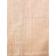 Lebanon Cedar