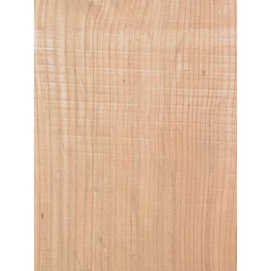 Lebanon Cedar