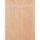 Lebanon Cedar