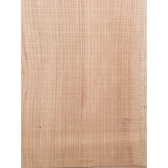 Lebanon Cedar