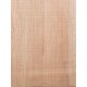 Lebanon Cedar