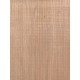 Lebanon Cedar