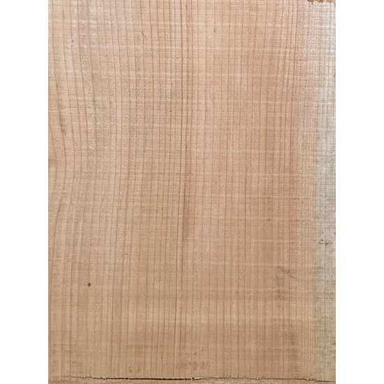 Lebanon Cedar