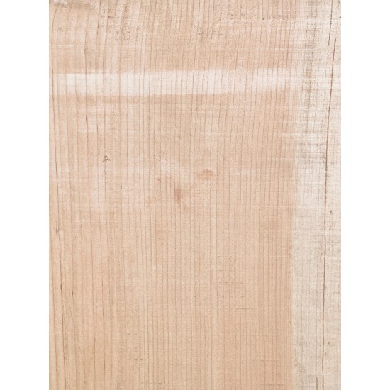 Lebanon Cedar