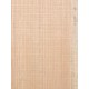 Lebanon Cedar