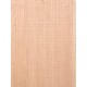 Lebanon Cedar
