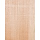 Lebanon Cedar