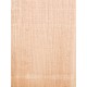 Lebanon Cedar