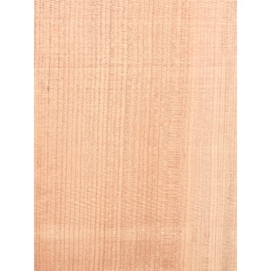 Lebanon Cedar