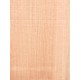 Lebanon Cedar