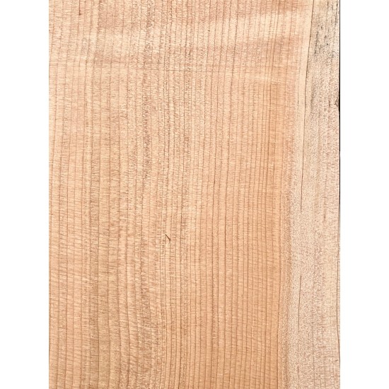 Lebanon Cedar