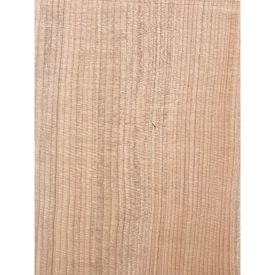 Lebanon Cedar