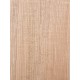 Lebanon Cedar