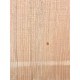 Lebanon Cedar