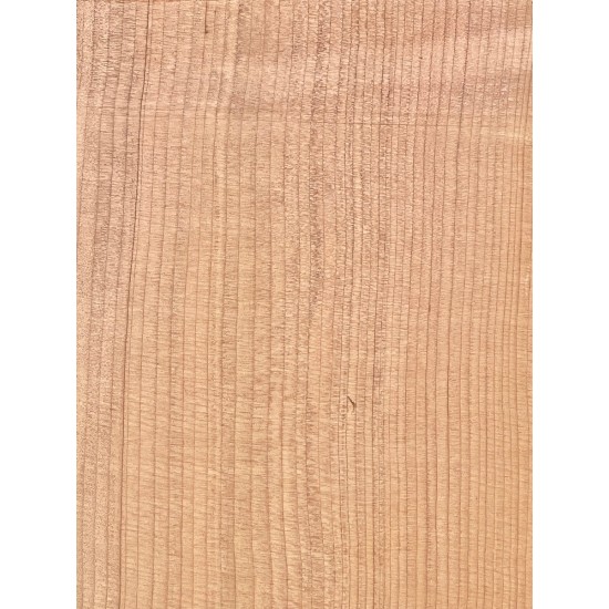 Lebanon Cedar