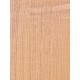 Lebanon Cedar
