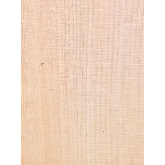 Lebanon Cedar