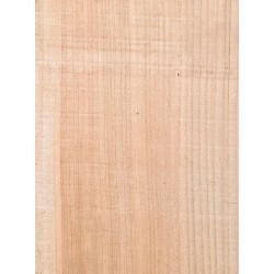 Lebanon Cedar