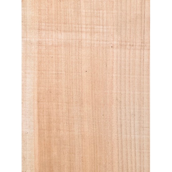 Lebanon Cedar