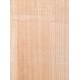 Lebanon Cedar