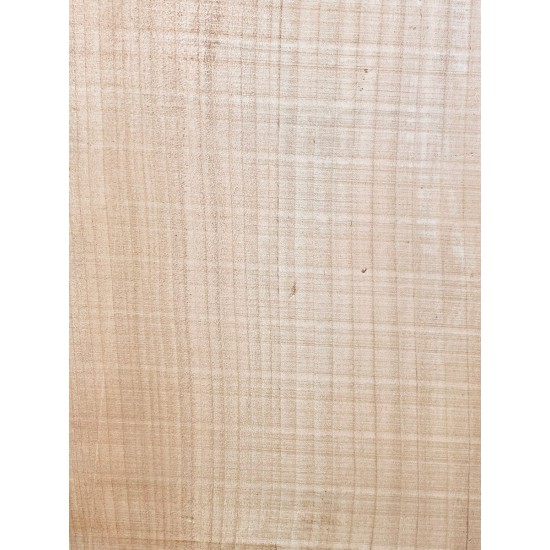 Lebanon Cedar
