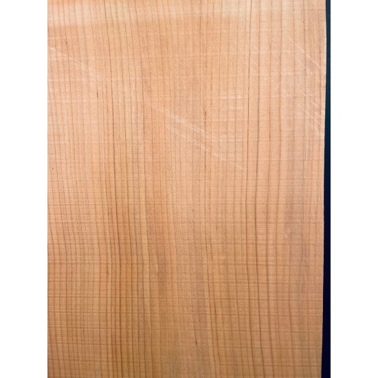 Lebanon Cedar