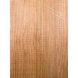Lebanon Cedar