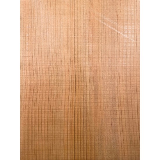 Lebanon Cedar