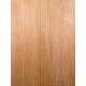 Lebanon Cedar
