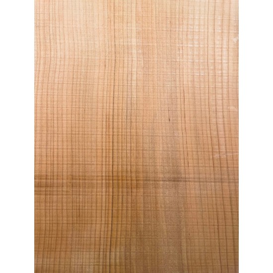 Lebanon Cedar