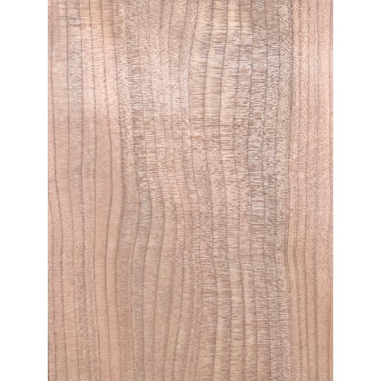 Lebanon Cedar