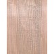 Lebanon Cedar