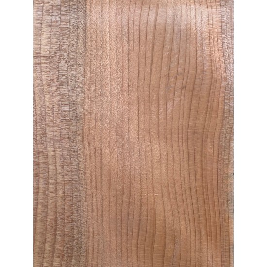 Lebanon Cedar