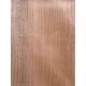 Lebanon Cedar