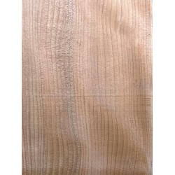 Lebanon Cedar