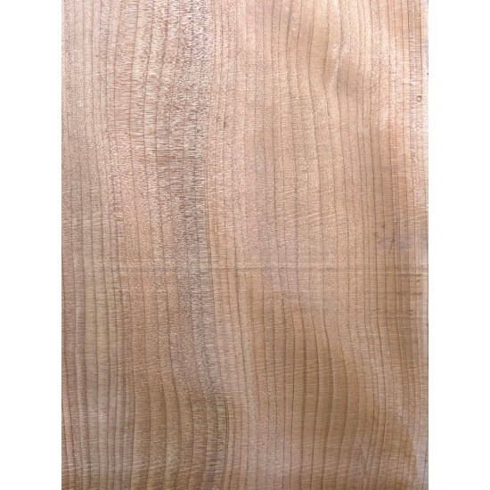 Lebanon Cedar