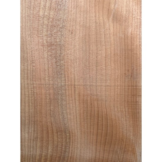 Lebanon Cedar