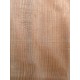 Lebanon Cedar