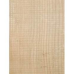Lebanon Cedar