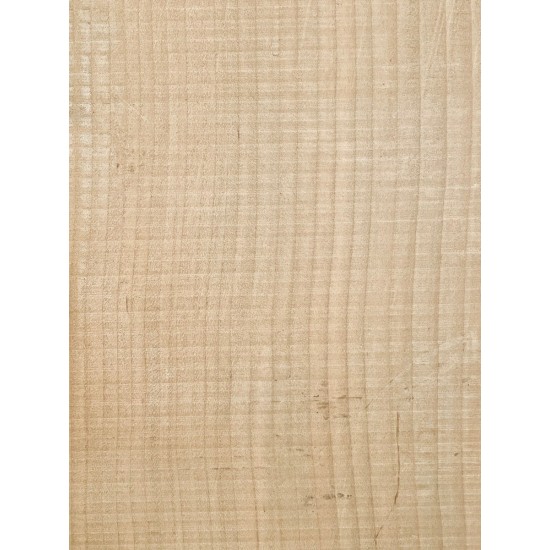 Lebanon Cedar