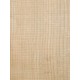 Lebanon Cedar