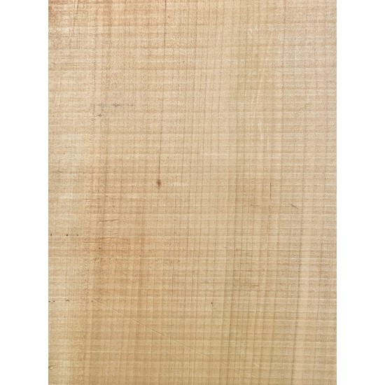 Lebanon Cedar