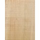 Lebanon Cedar