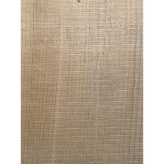 Lebanon Cedar