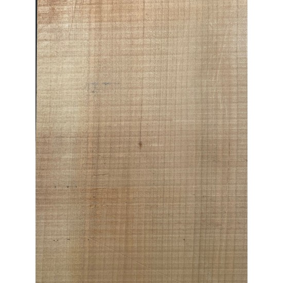 Lebanon Cedar