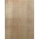 Lebanon Cedar