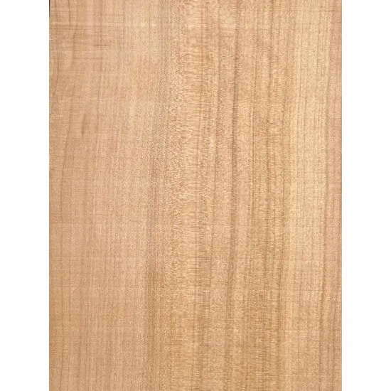 Cypress | Politiki Lyra Top